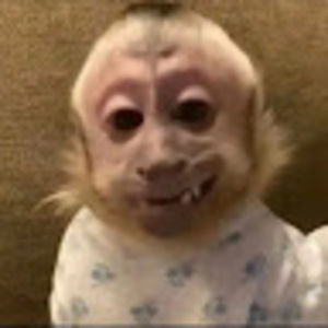 Meet your Posher, Marie